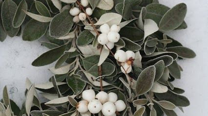 Esther's 12 days of giveaways