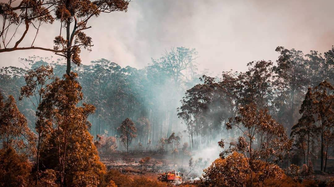 Australia Needs Us-ESTHER & CO.