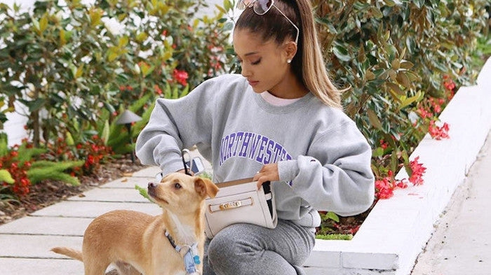 Celebrities and their cute pets!!-ESTHER & CO.