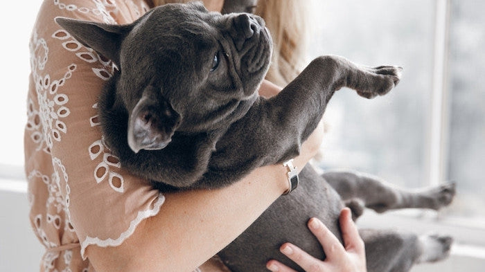 Meet Bobbi!-ESTHER & CO.