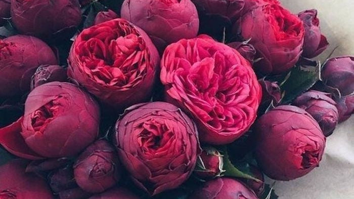 V'day Wins & Fails-ESTHER & CO.